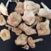坝上白蘑菇干内蒙古特产草原小白蘑食用菌250g