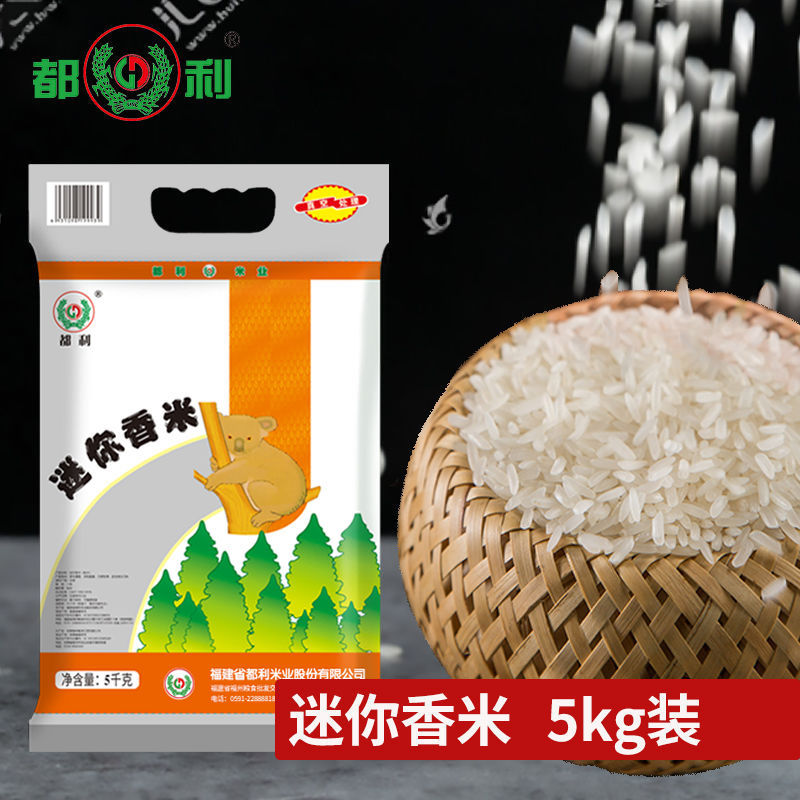 长粒香米 丝苗香米 南方籼米 一级新米