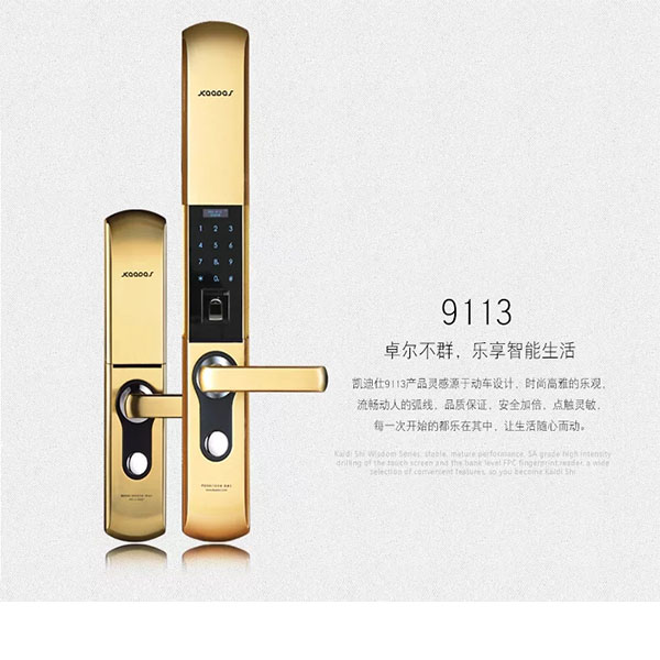 凯迪仕指纹密码锁青古铜9113双开门锁