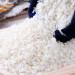 稻宝昌 新米生态营养胚芽米东北大米2.5kgx2袋真空装